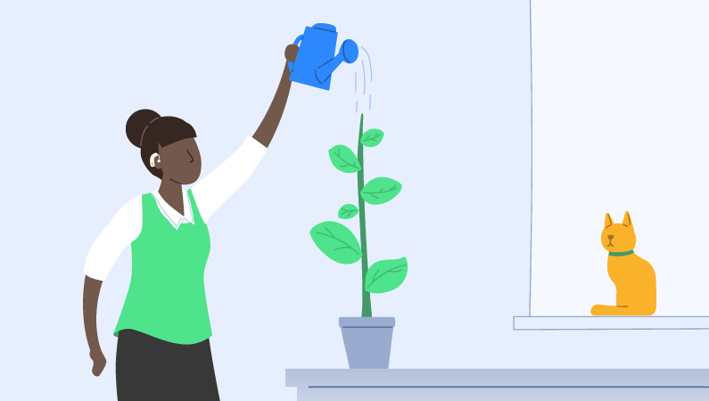 Person watering a plant